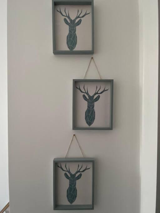 Newly Refurbished Town Centre Apartment Oban Dış mekan fotoğraf